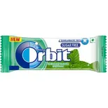 Spearmint Flavour Chewing Gum 